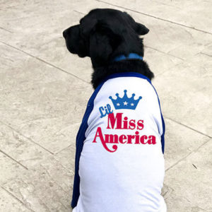 Lil Miss America machine Embroidery design usa