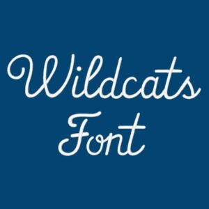 Wildcats casual embroidery font
