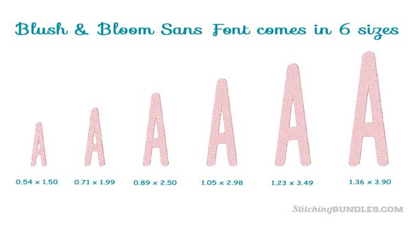Blush & Bloom Duo embroidery font sans