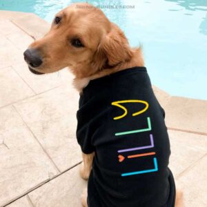 cursive embroidery font dog