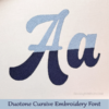 Duotone Cursive Embroidery